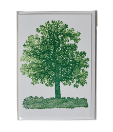  Oak Tree Greeting card