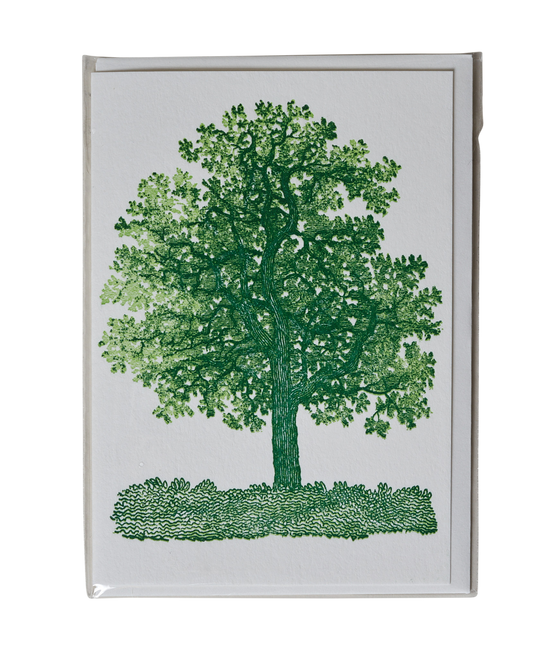 Oak Tree Greeting card
