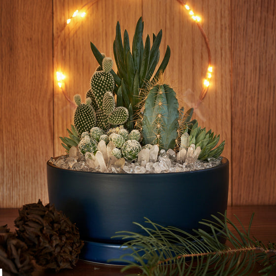 Winter Wonderland Cactus and Crystal Arrangement