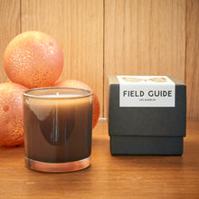  Field Guide Velvet Rose and Oud Candle